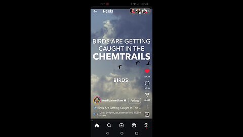 Chemtrails Kill Birds