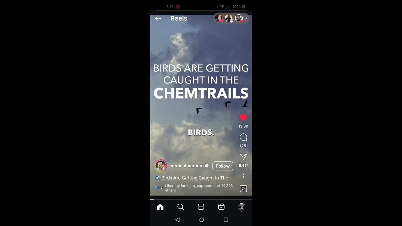 Chemtrails Kill Birds