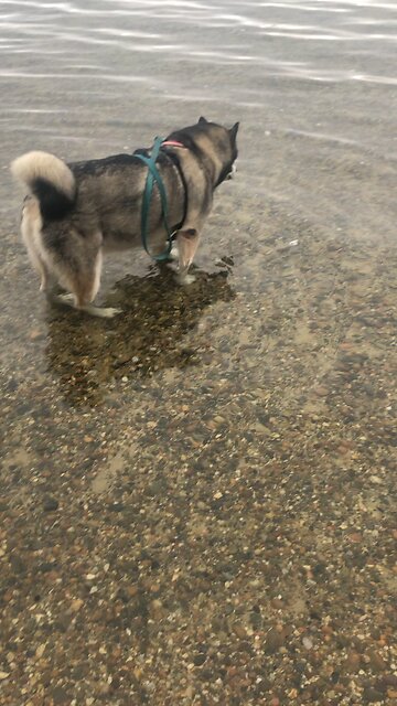 Wednesday September 24, Through you search for me, you can not come to me. ￼