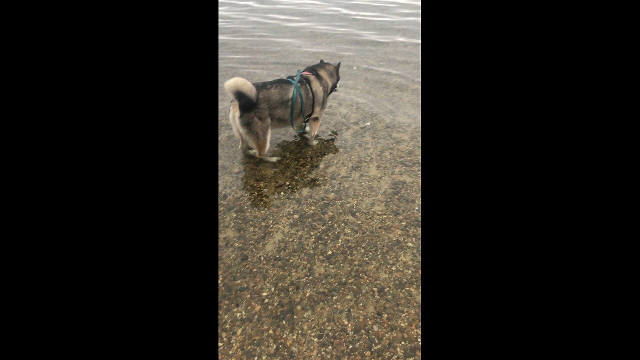 Wednesday September 24, Through you search for me, you can not come to me. 