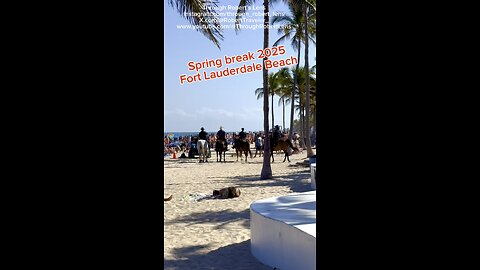 Florida Spring Break 2925