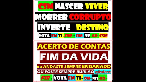 281025-ENGANADOS ? lóGiCa sapo-CFNDG-ifc-pir-2DQNPFNOA-VOTA HVHRL EM TI DIRECTAMENTE ARTIGO 48 CRP