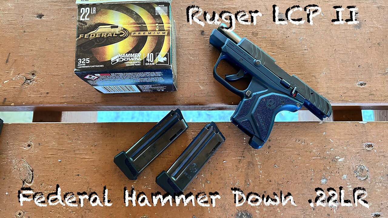 Testing Federal Premium Hammer Down .22LR in my Ruger LCPII - my pickiest 22 handgun!