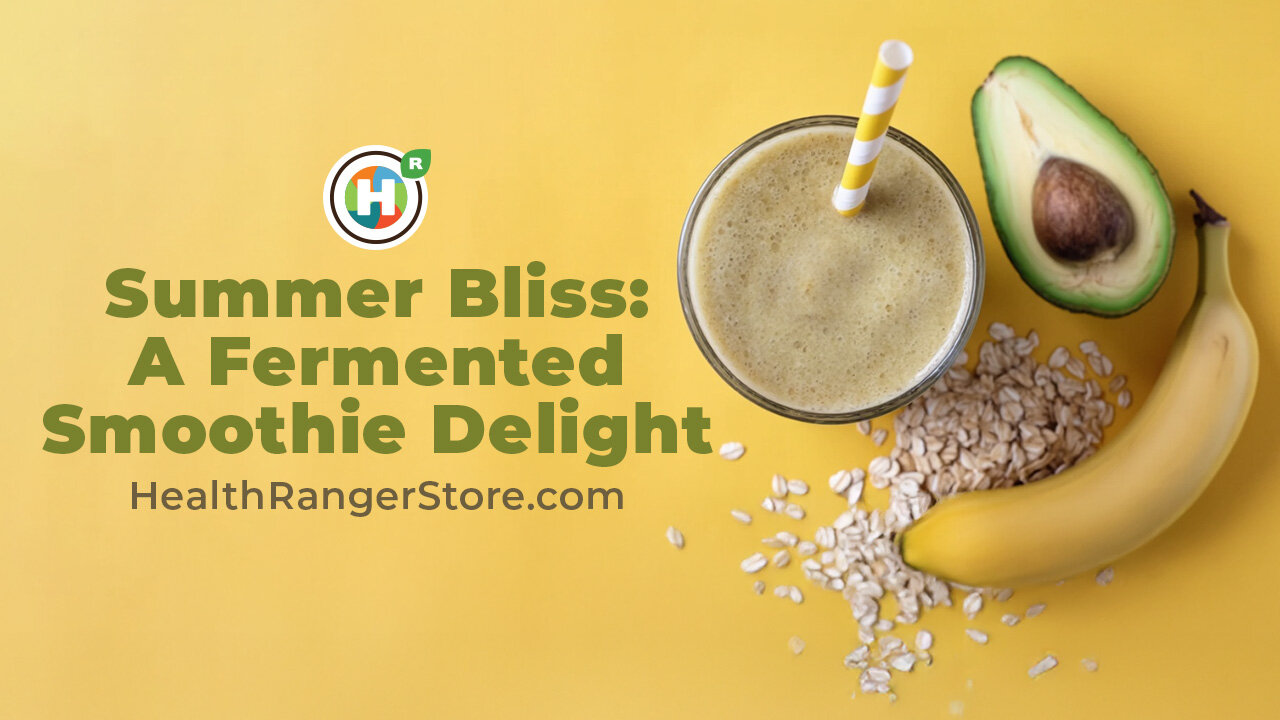 Summer Bliss: A Fermented Smoothie Delight