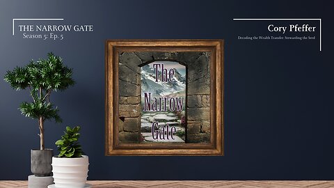 Decoding the Wealth Transfer: Stewarding the Seed