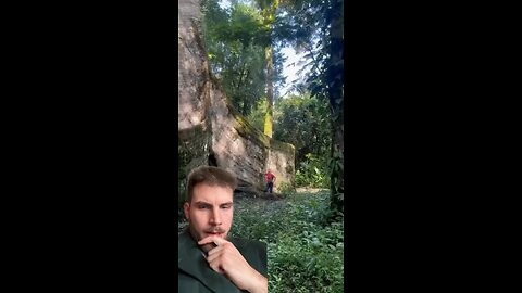 Not A Rock But The Ceiba Tree In Costa Rica Revered To Have The Highest Frequency Of Any Tree