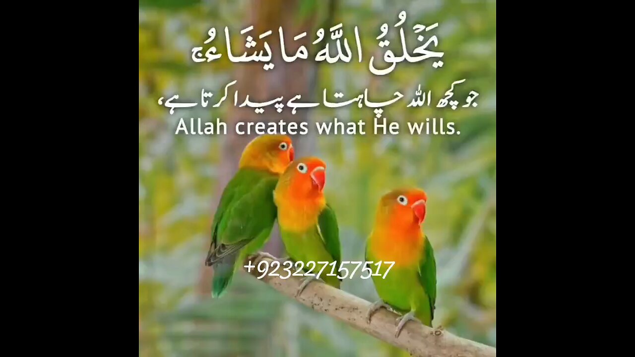 SURAH AL NOOR
