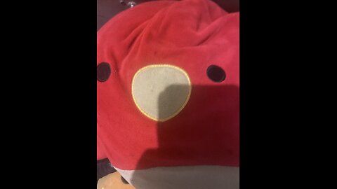Welcome to ChubbyBirdTV