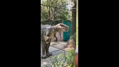 satisfying Video