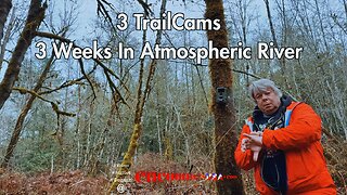 DJI Mini 4 Pro 🚁 And Trail Cams Looking For Bigfoot in Washington Flood Zone!