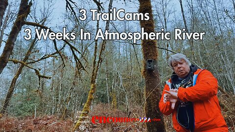 DJI Mini 4 Pro 🚁 And Trail Cams Looking For Bigfoot in Washington Flood Zone!