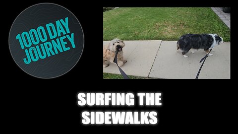 1000 Day Journey 0687 Surfing the Sidewalks