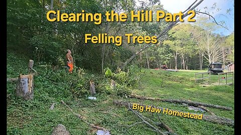 Clearing the Hill part 2