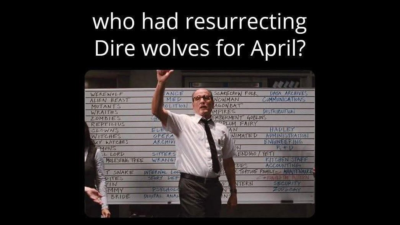 🤣🤣🤣 Who's your...