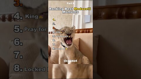 Best Medazelli #ranking #medazelli #tiktok