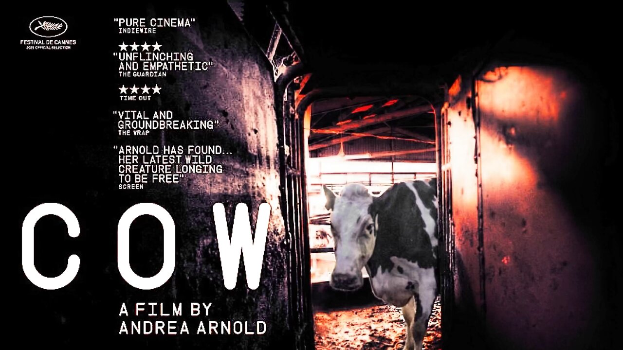 Cow (4K Remastered) Trailer