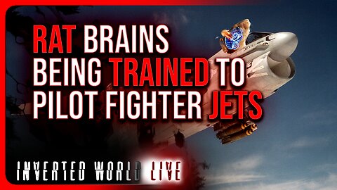 Rat Brains Being Trained to Pilot Fighter Jets