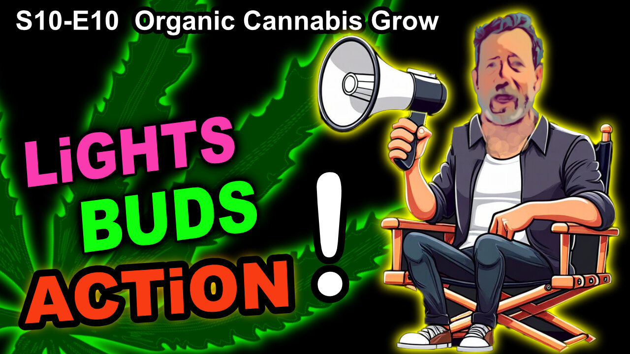 S10 E10 – Week 3 of Flower – Turning Up The Light - Shiskaberry, Chemy Lemmy, Afghan Kosher