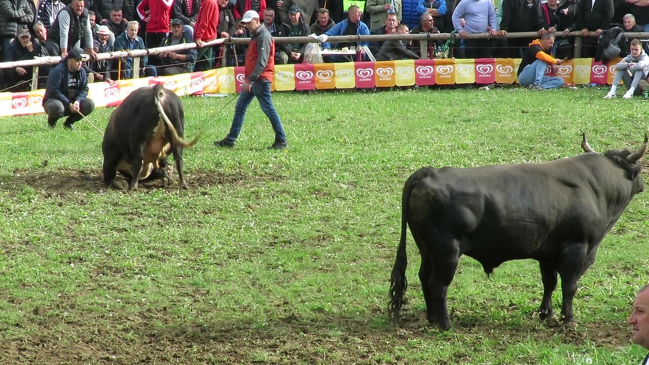 Jelenko od Kibeta vs Tuzgo od Smake Bištrani 2025