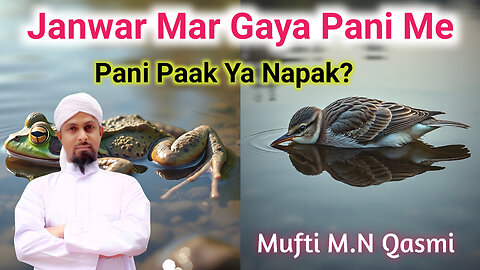 Pani Me Mara Hua Janwar Mil Jaye | Pani Paak Hai Ya Napaak? #islamicmaslemasail