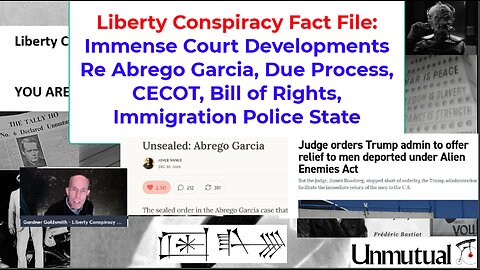 Liberty Fact File: Two Critical Court Moves Re Immigration, Abrego Garcia Case