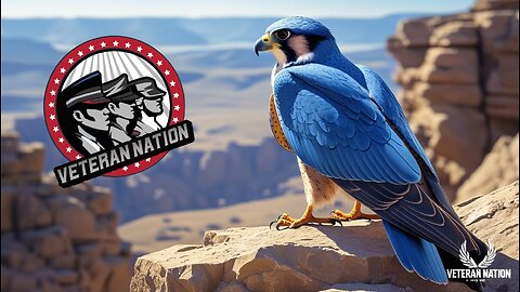 Senior Enlisted Blue Falcon