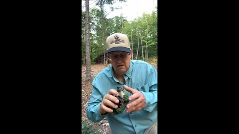 Remington style Antiques Roadshow