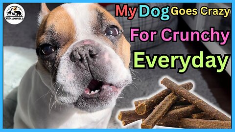 My Dog Goes Crazy for Crunchy