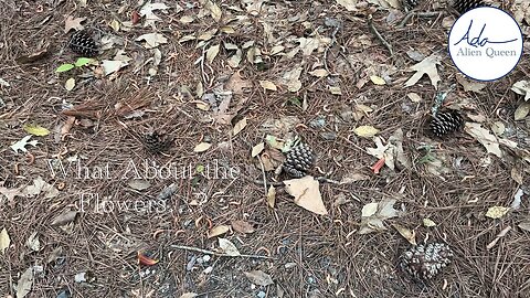 Ada Alien Queen • Ada Walks • Take # 00011 • What About the Flowers…?