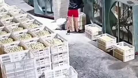 😂 You Won't Believe This Epic Fan Moment! | FunFM