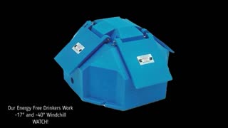 Trent Loos in the Morning - 2/06/2026