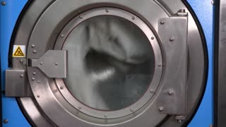 Trent Loos in the Morning - 2/06/2026