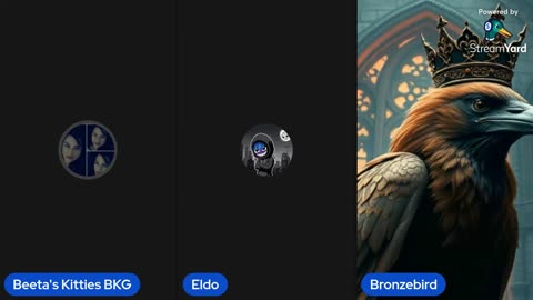 07/25/25 Beeta's Kitties VOD: "FRISKY FRIDAY"