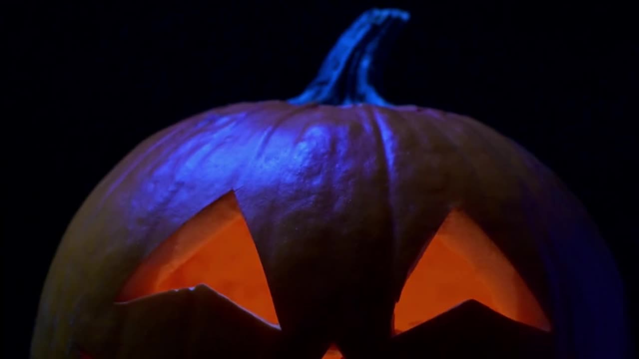 Halloween Activity Book for Children