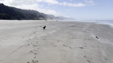 Yuma makes the catch on the beach 2908432098