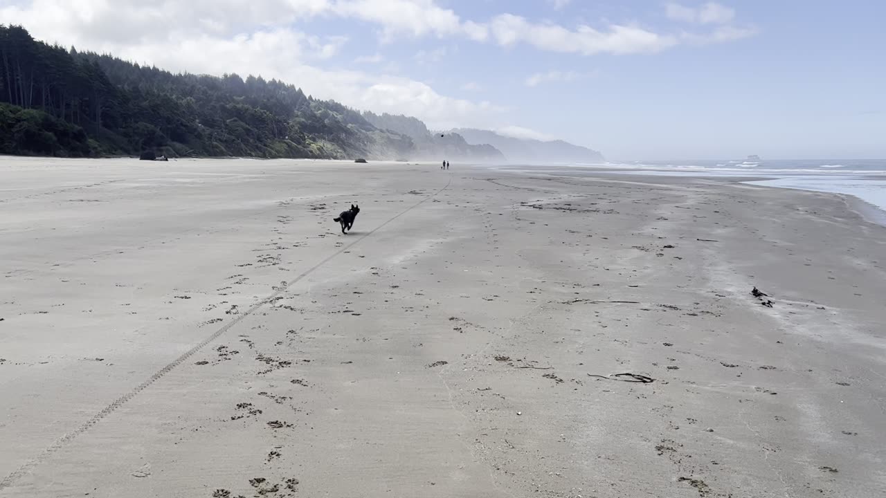 Yuma makes the catch on the beach 2908432098