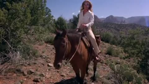 kingdom of the spiders movie