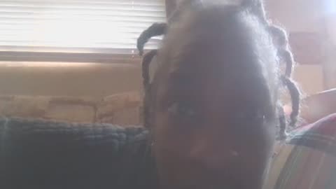 DEAD COPS YOU MURDERED ANOTHER LIVING CELL YOUR BLOODLINES I TAKE