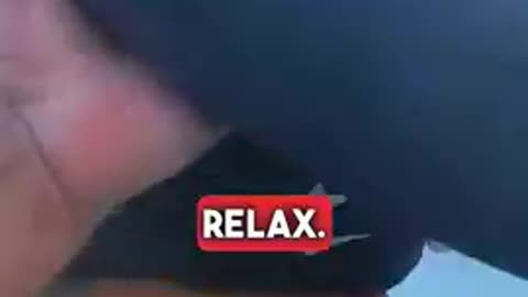 Obese Negroid Woman Caught Stealing Bag Full Of Merchandise But Cries Racism