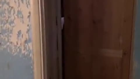 😱👻 Poltergeist Activity Caught on Camera! Ghostly Toksa | TheHauntingHour