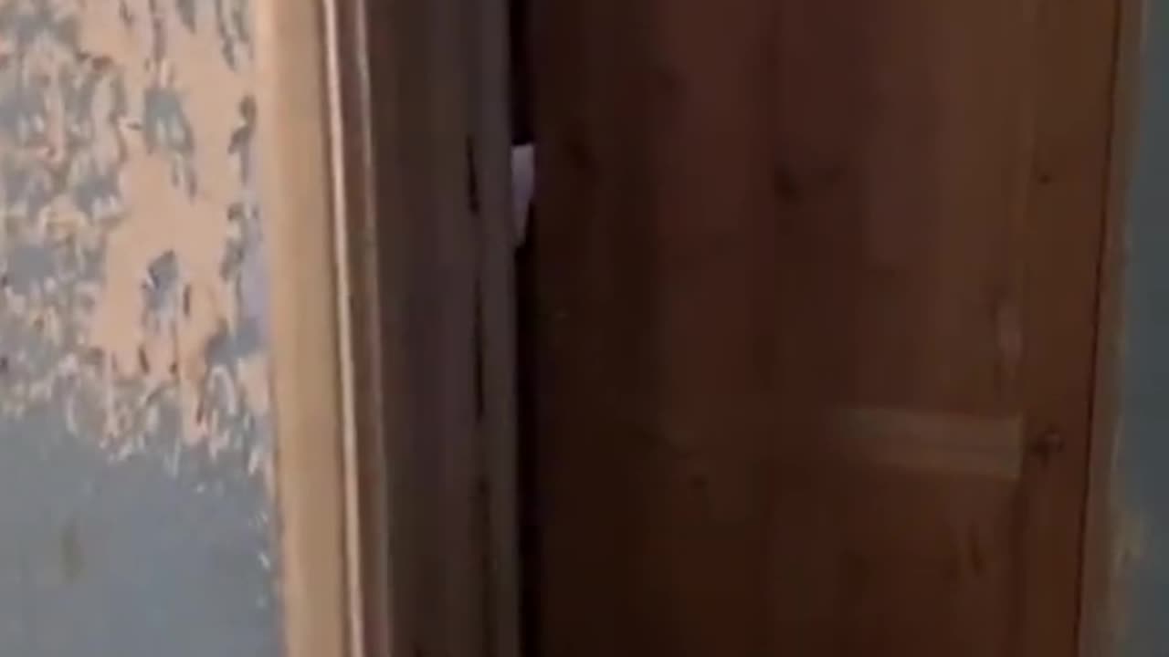 😱👻 Poltergeist Activity Caught on Camera! Ghostly Toksa | TheHauntingHour