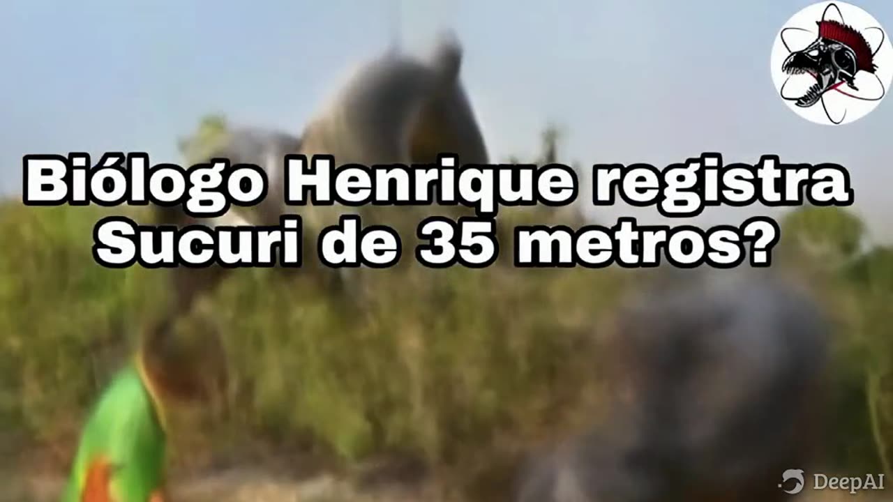 a sucuri de 35 metros