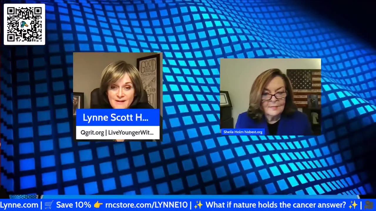 Sheila Holm: 45-Point Plan to Destroy America SEE FULL SHOW ON YOUTUBE AT LYNNE SCOTT HAGGERMAN