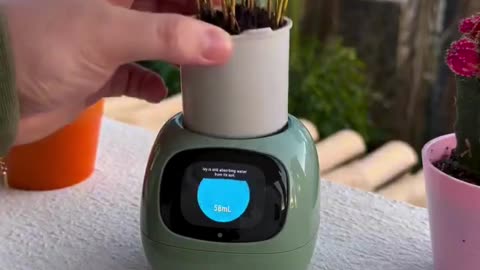 Smart Plant Buddy 🪴🤖 | Never Forget to Water Again!