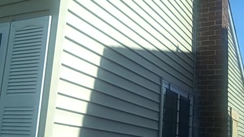 more siding for wendell on the shea show