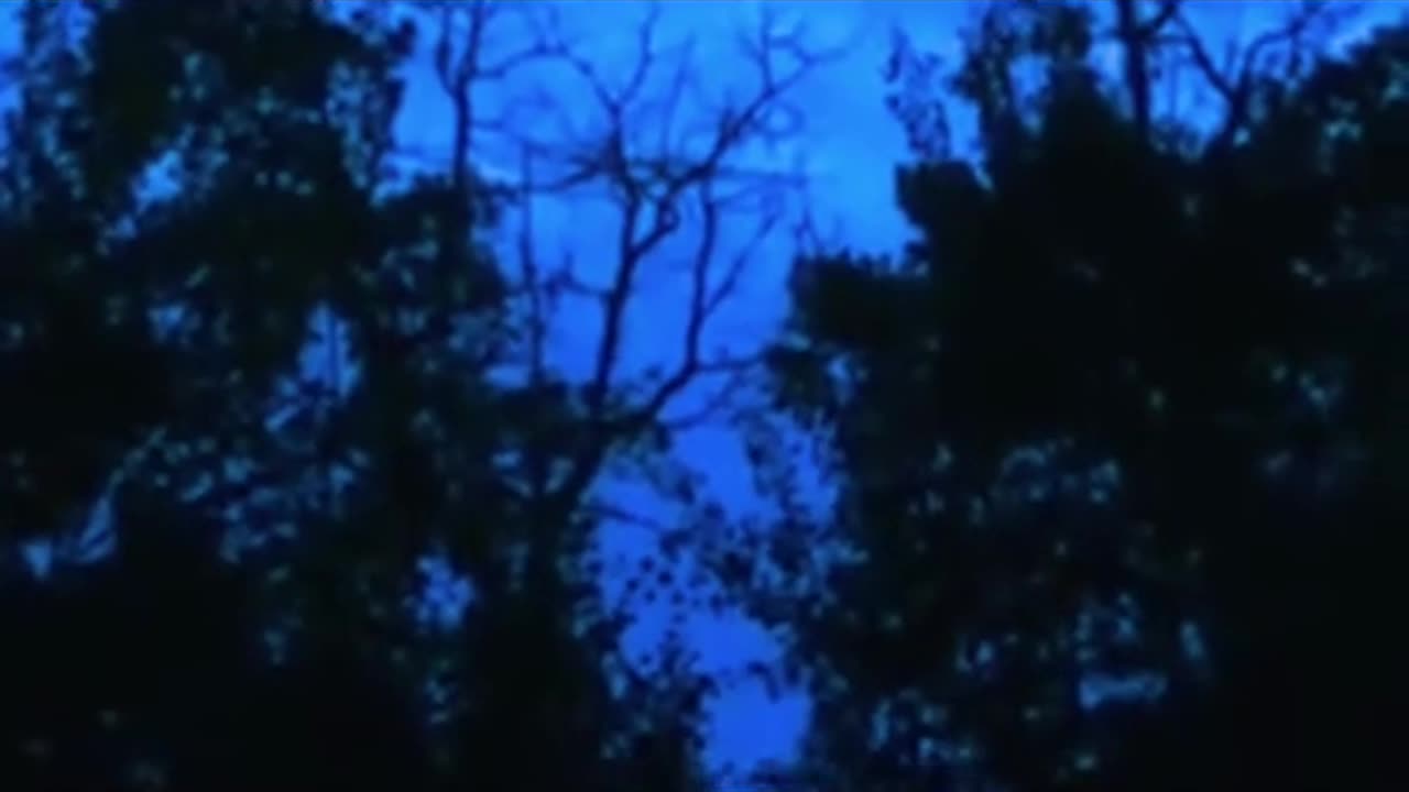 🛸🤯 Possible UFO Sighting Captured LIVE In Canada! | TheTruthAbove