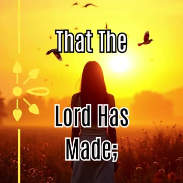 Unlock Joy in Every Day