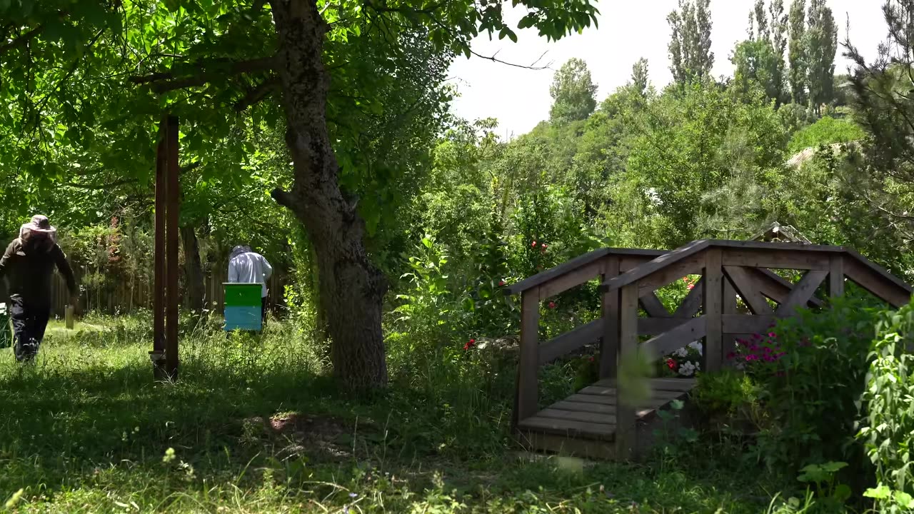 Golden Nectar- Collecting Honey and Creating Homemade Sweets