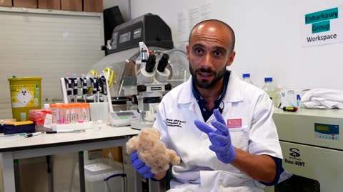 How toothpaste made from hair could help repair teeth