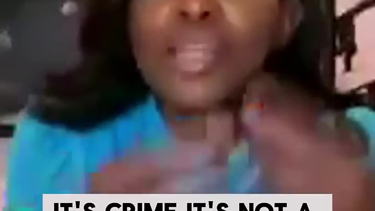 Homan vs Crockett - Did Illegal Aliens Break the Law?